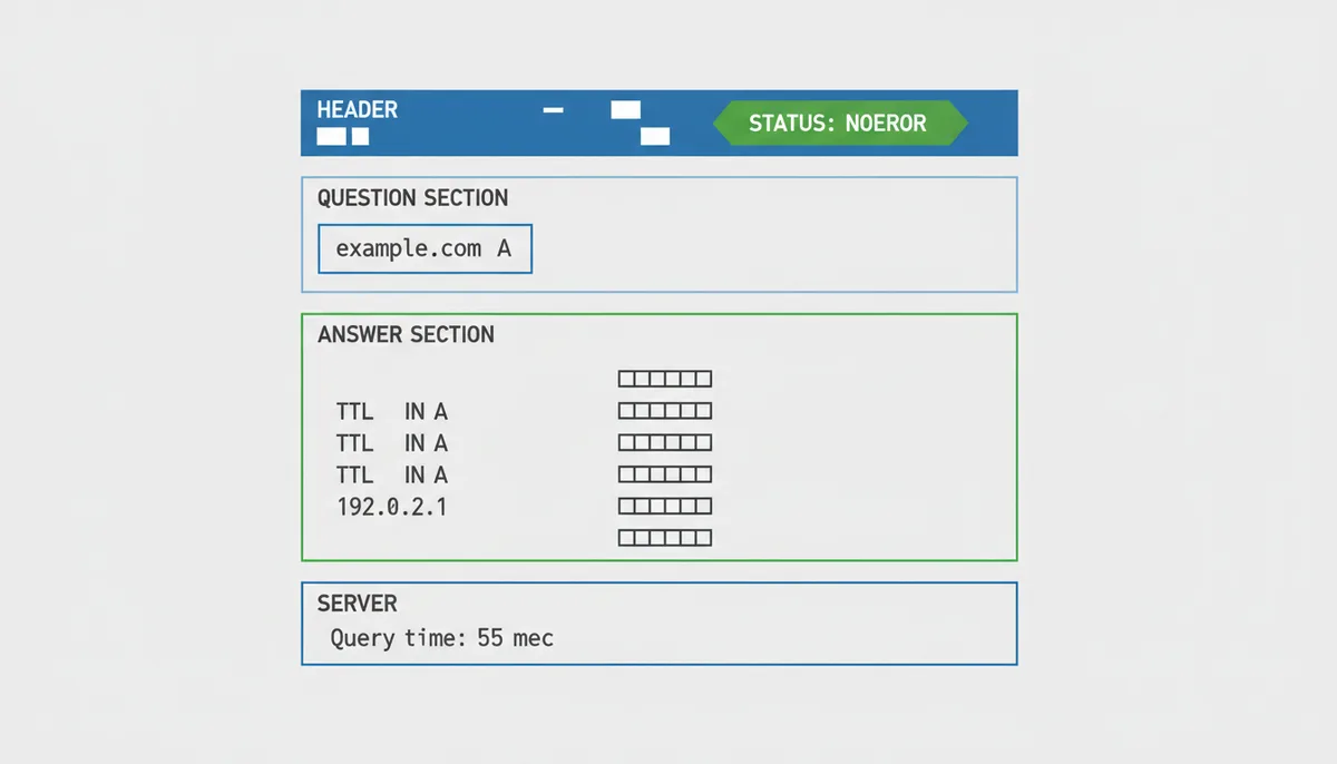 A stylized diagram representing the output of a 'dig example.com A' command. It visually highlights the 'STATUS' line, 'QUESTION SECTION' showing the domain and record type, 'ANSWER SECTION' detailing the TTL and IP address, and the 'SERVER' and 'Query time' lines, using abstract shapes and a blue, green, and gray color scheme.