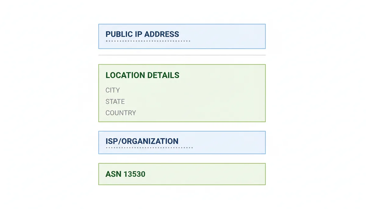An abstract illustration of a web page showing four distinct information blocks: Public IP Address, Location Details, ISP/Organization, and ASN, each with placeholder text and clearly separated to show their layout.