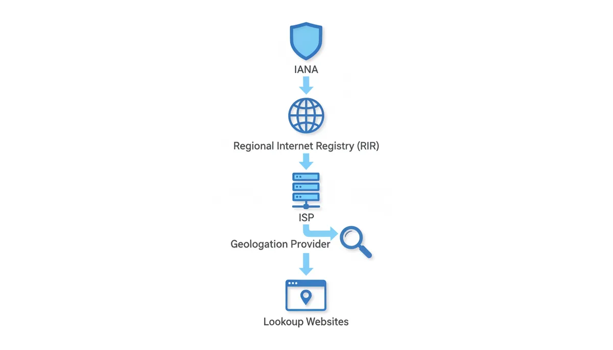 A flowchart showing the IP geolocation data supply chain: IANA allocates to Regional Internet Registries (RIRs), which assign to ISPs, whose data is used by Geolocation Providers, which are queried by Lookup Websites.